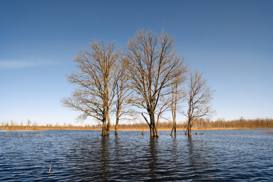 Natuurontwikkeling