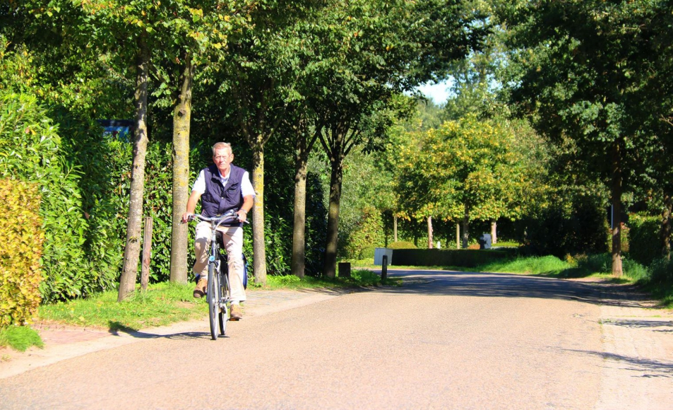 Oirschot: Duurzaamheid heeft baat bij bomen